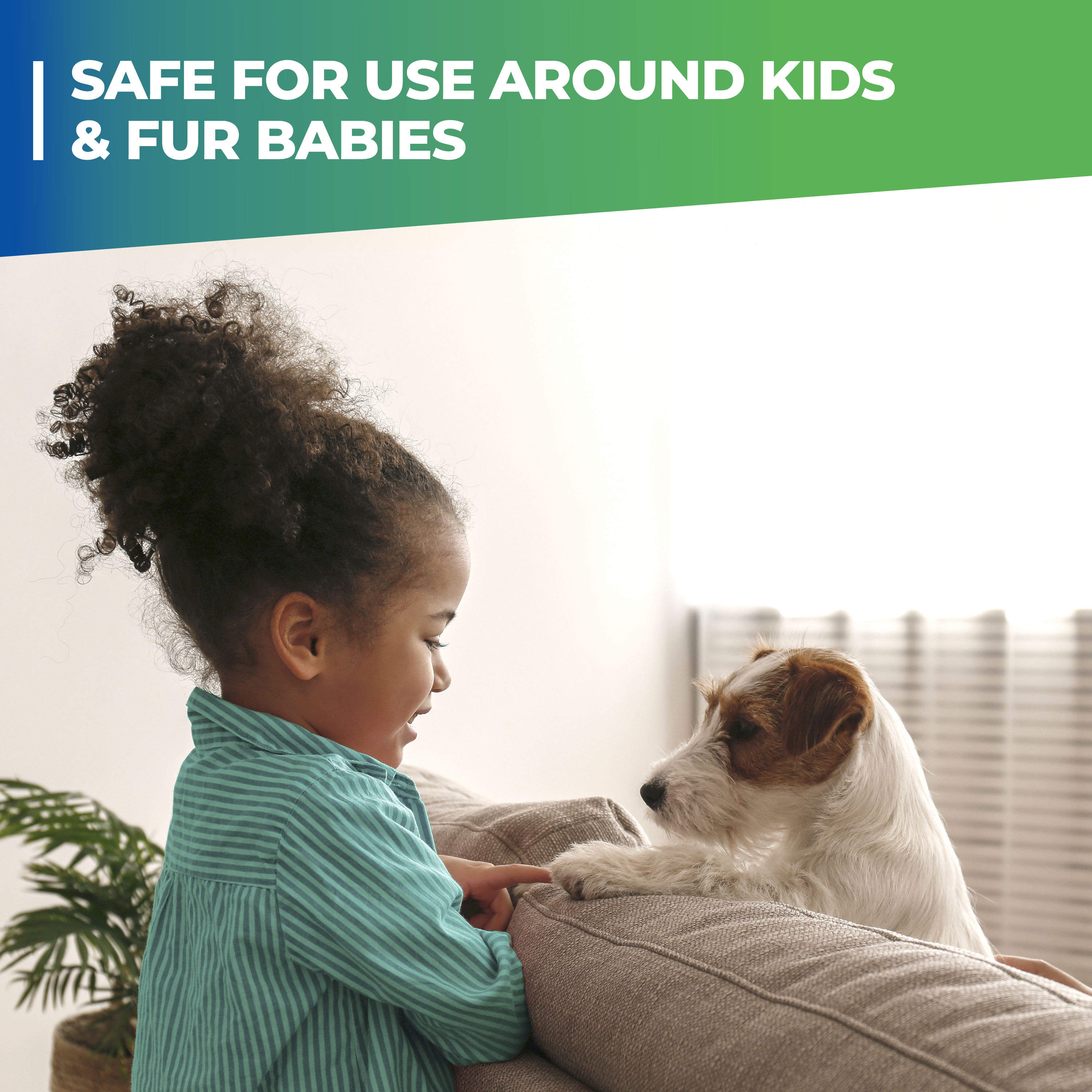 Pet Stain and Odor Eliminator