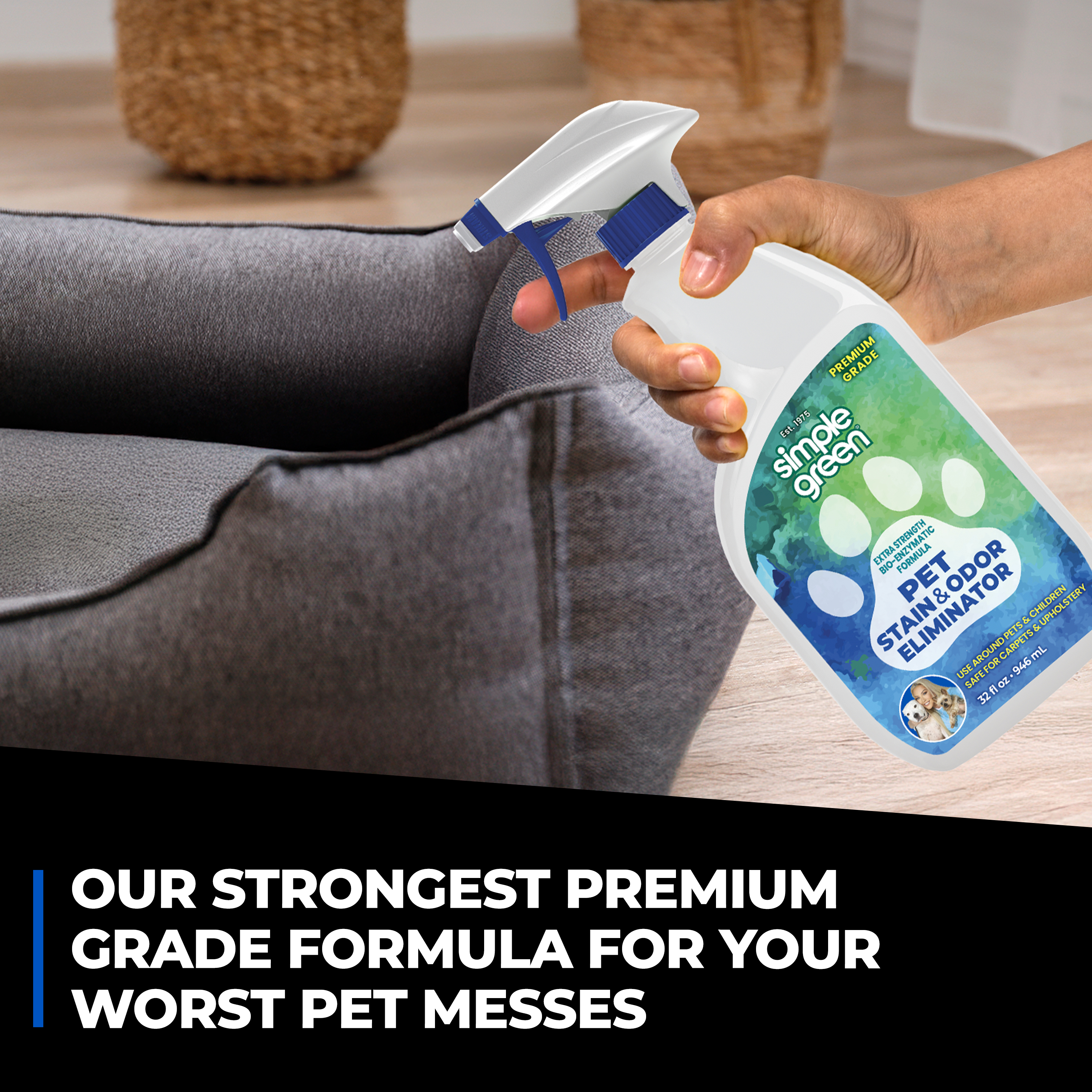 Pet Stain and Odor Eliminator