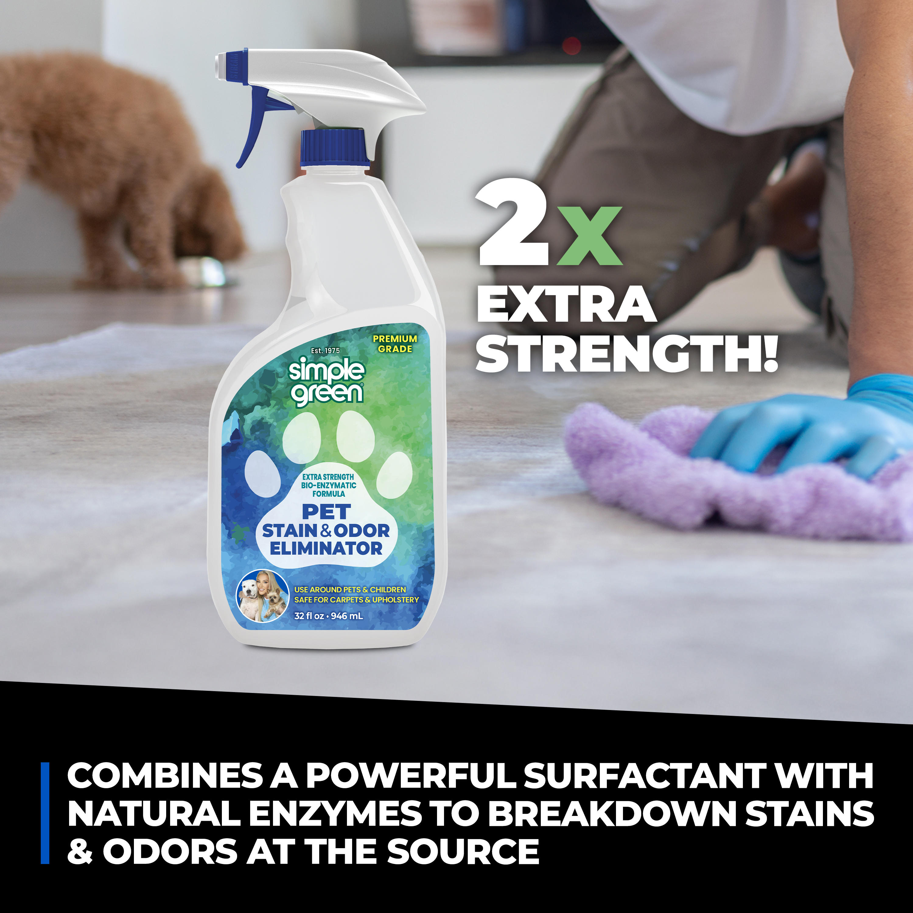 Pet Stain and Odor Eliminator