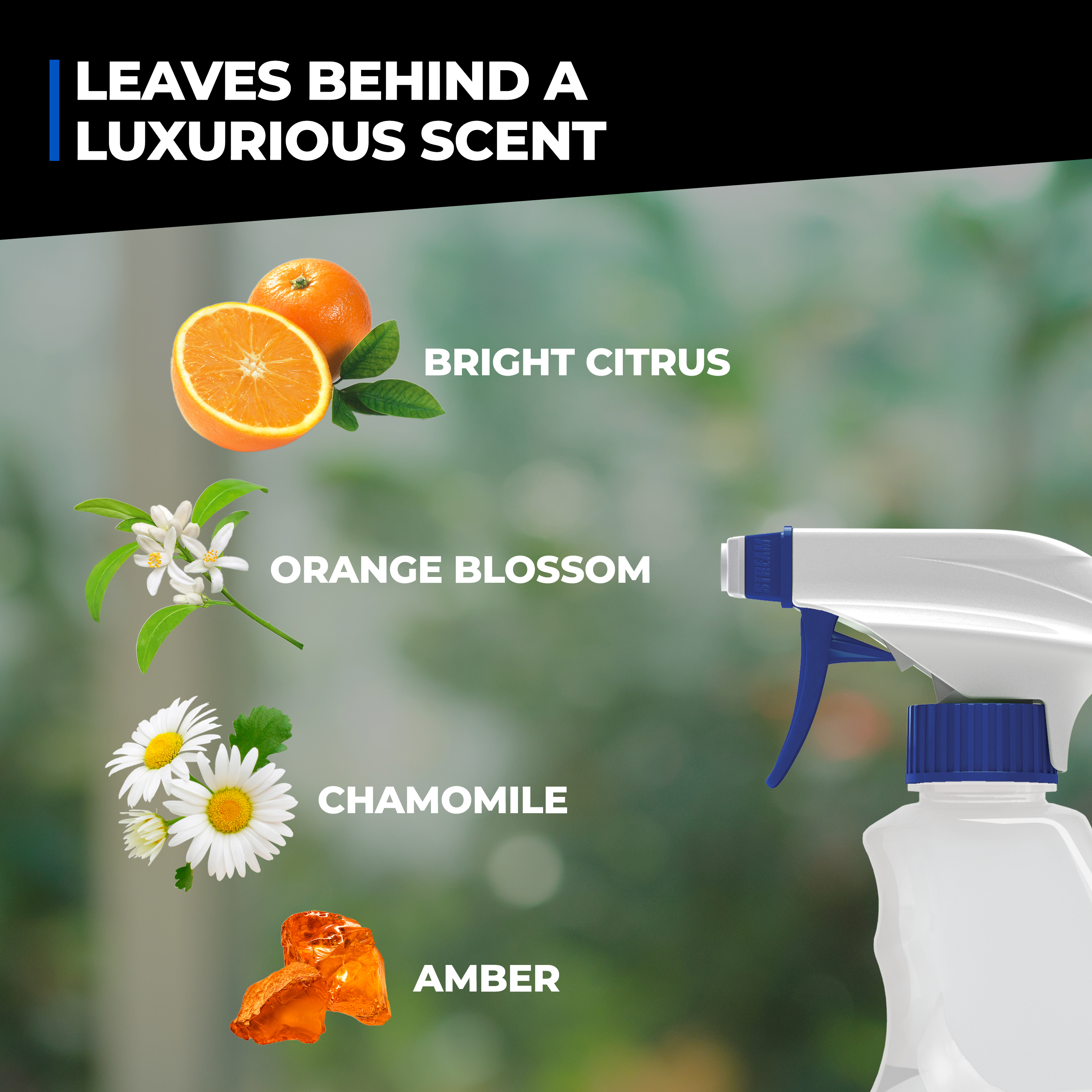 Pet Stain and Odor Eliminator