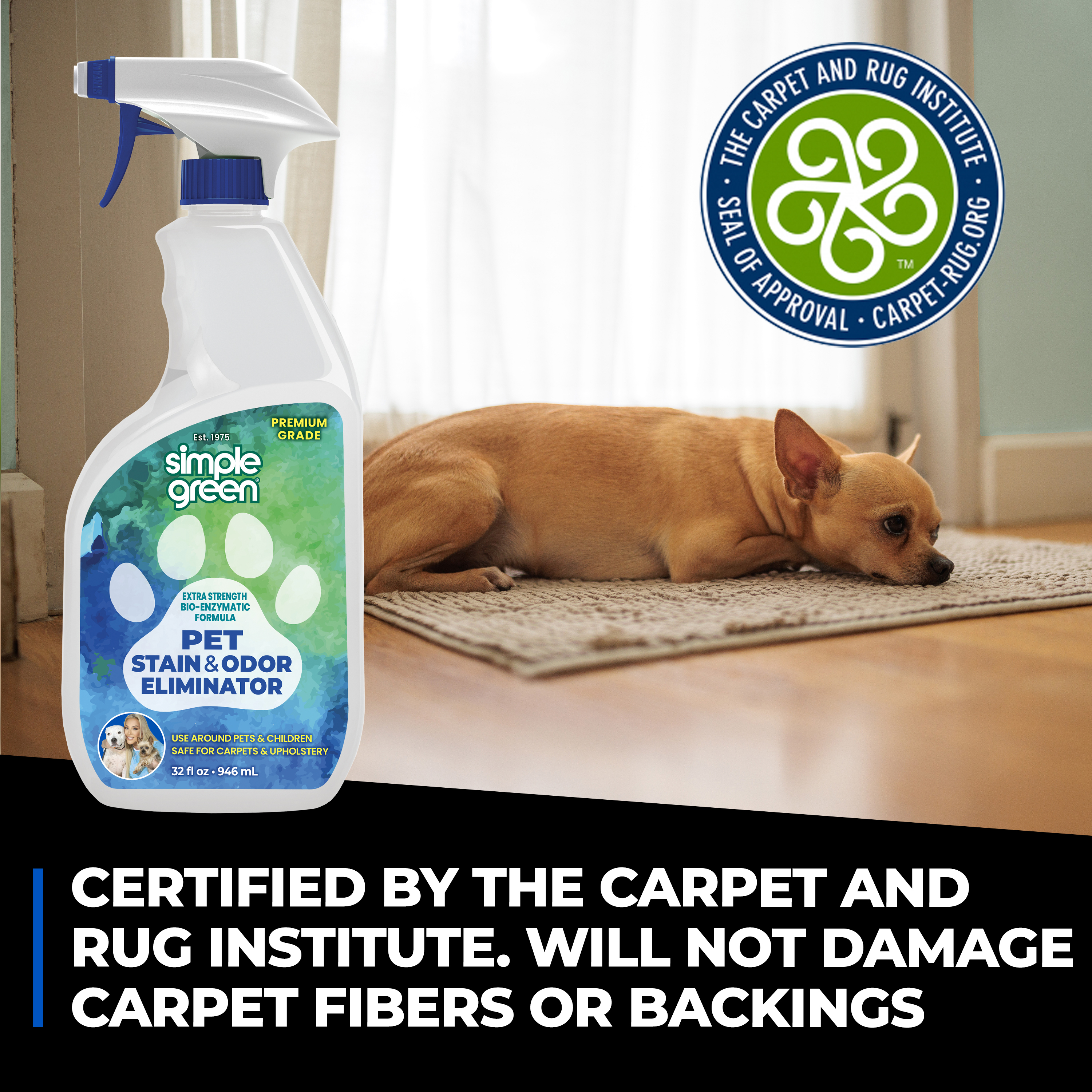 Pet Stain and Odor Eliminator
