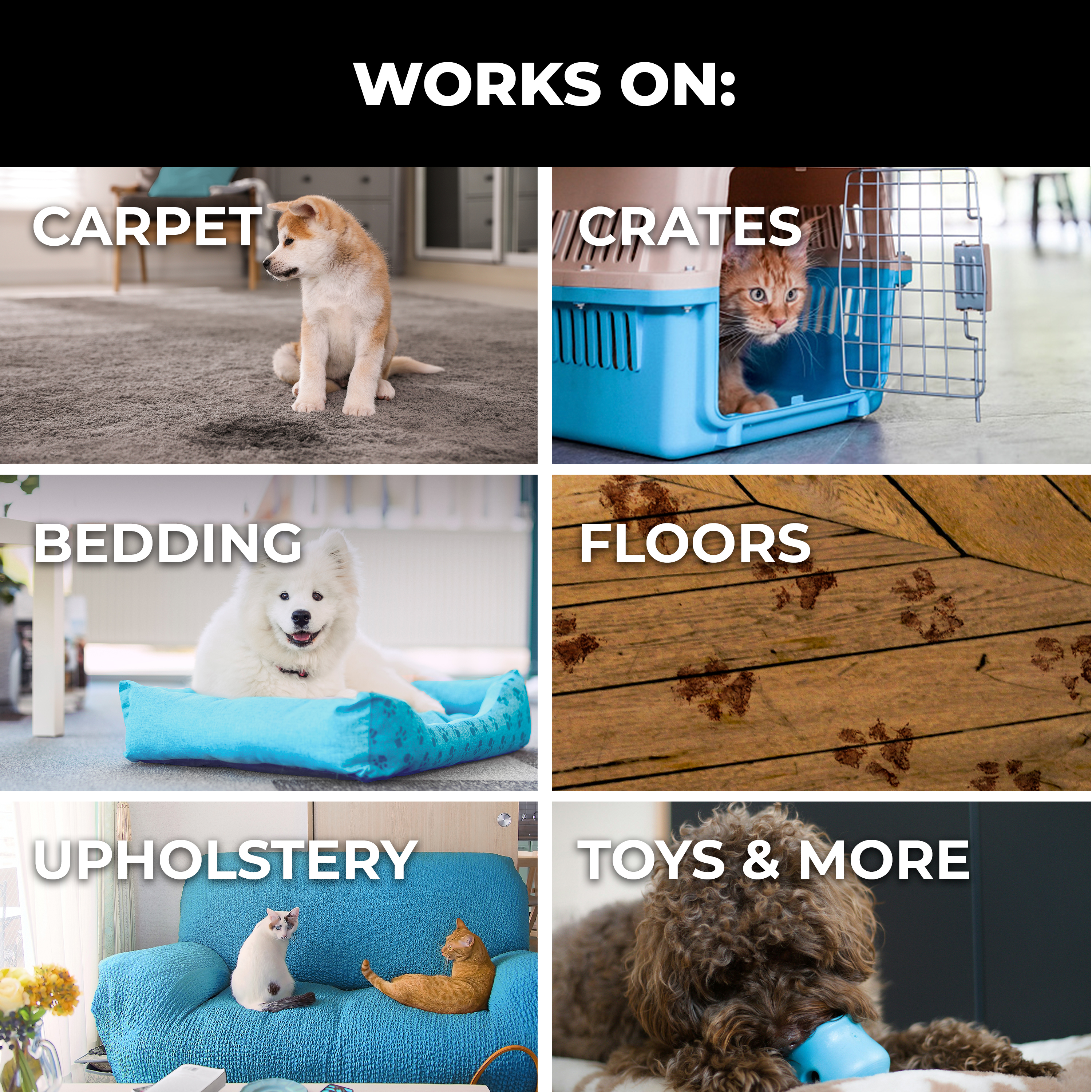 Pet Stain & Odor Remover