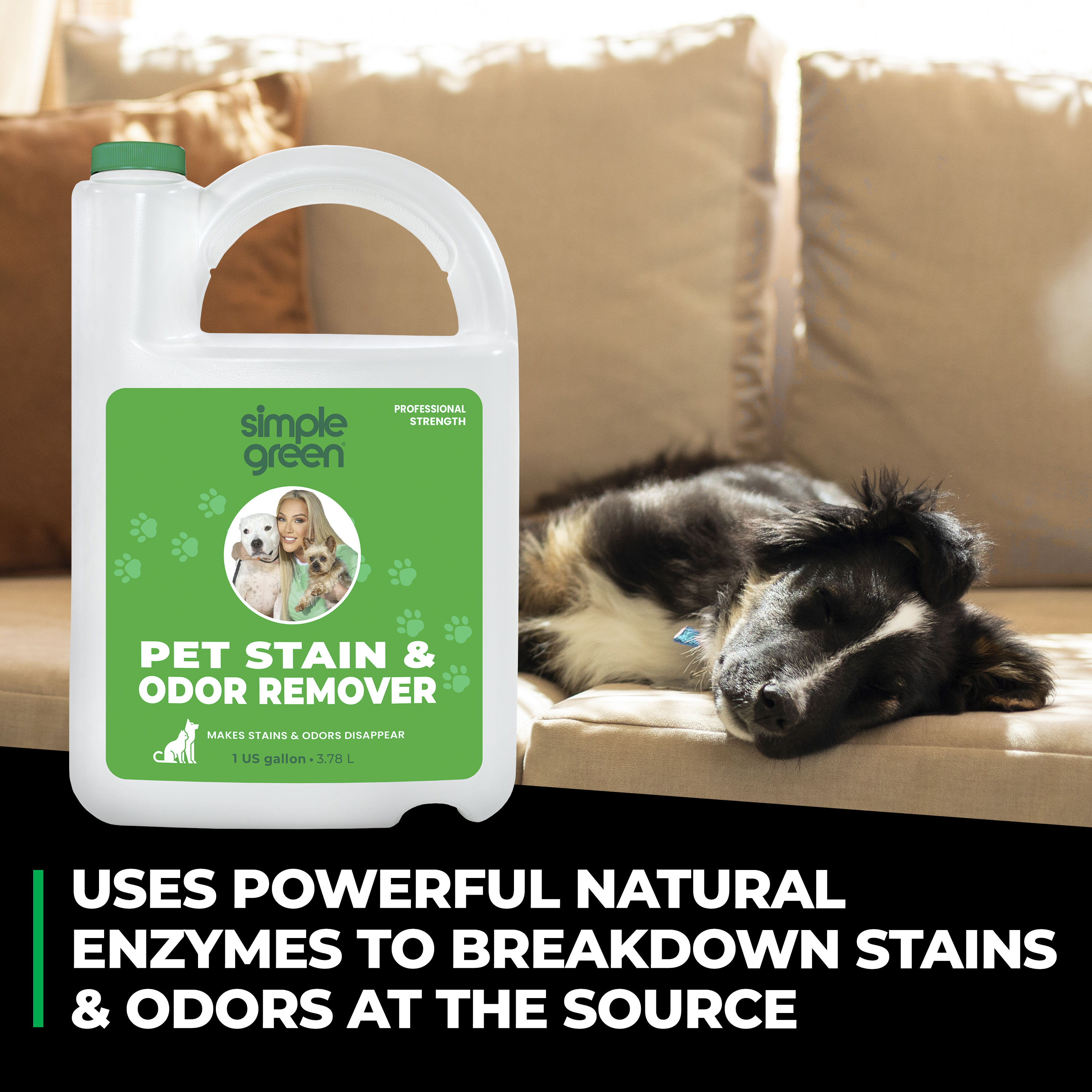 Pet Stain & Odor Remover