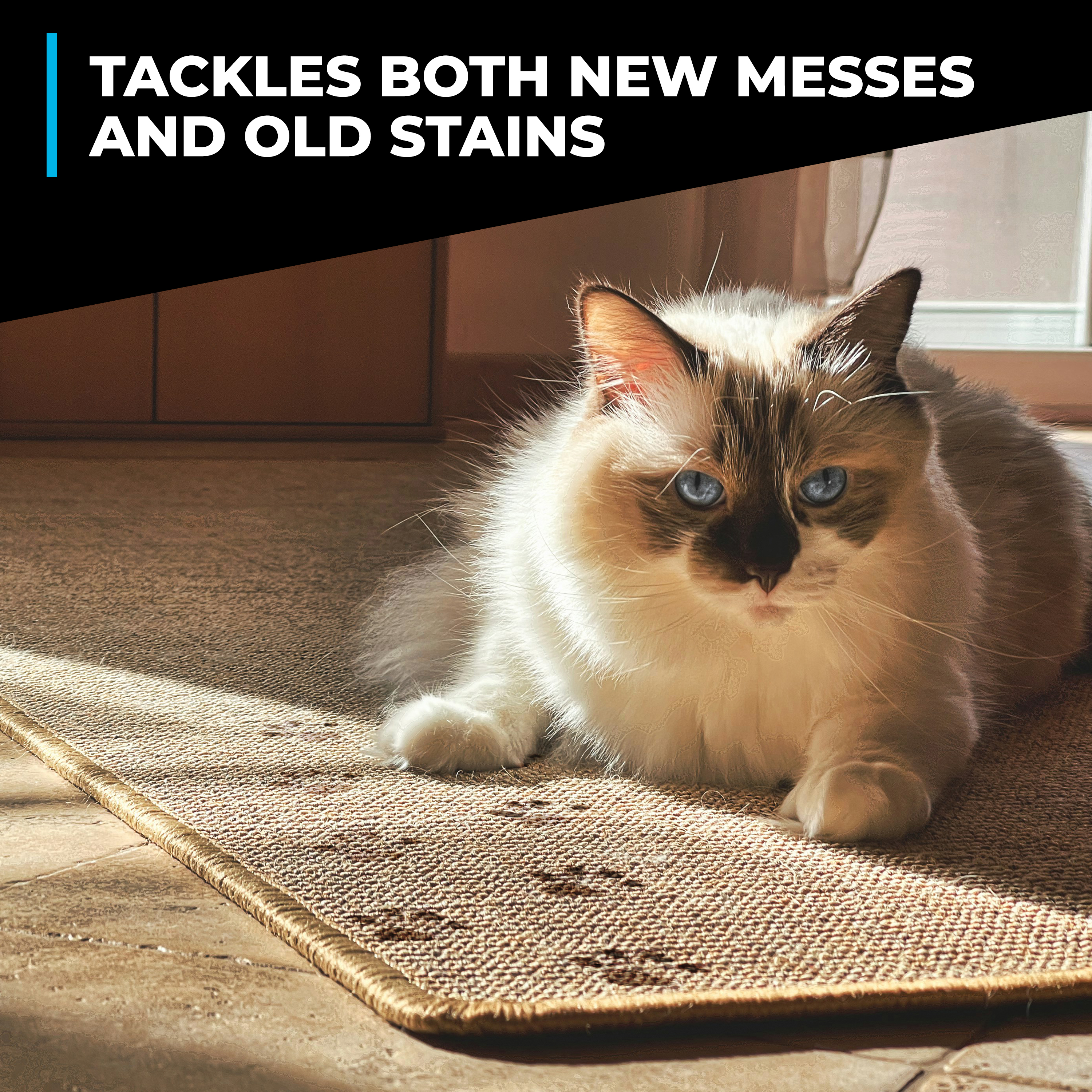 Pet Stain & Odor Remover