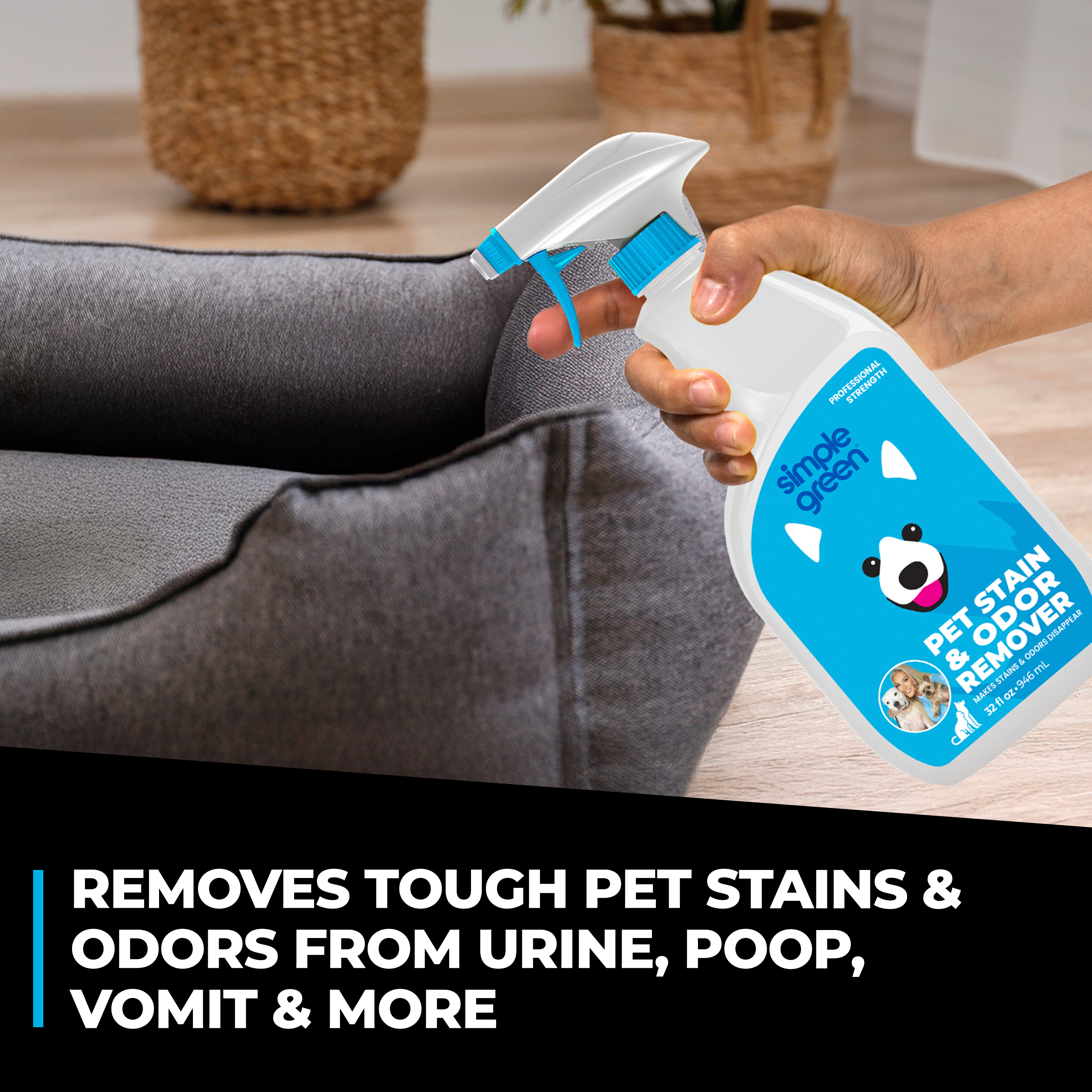 Pet Stain & Odor Remover