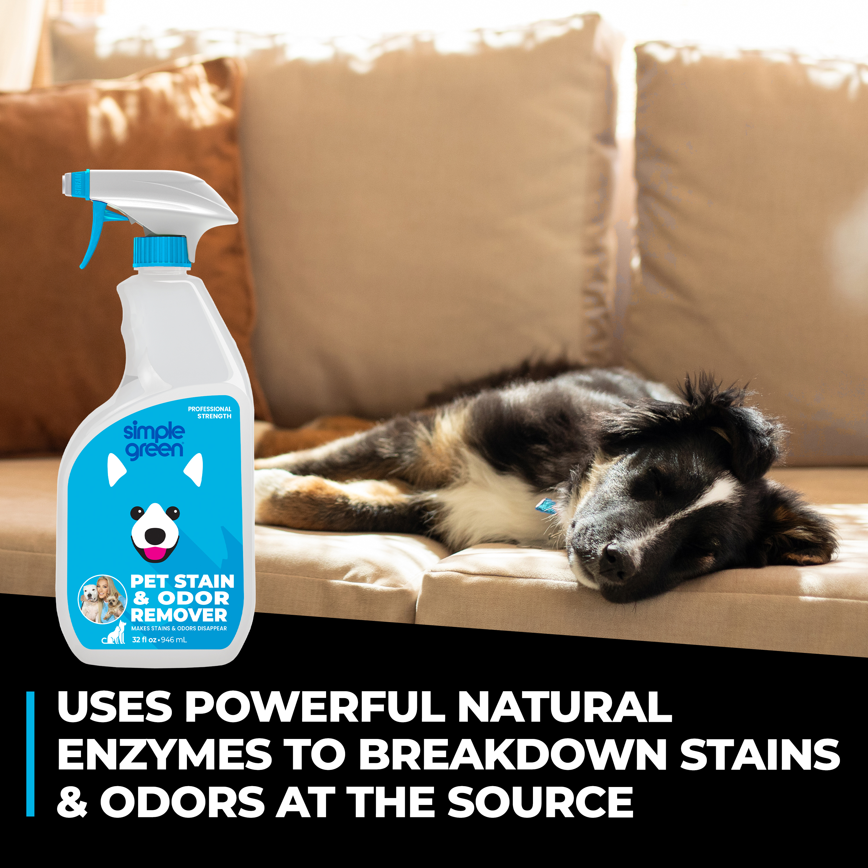 Pet Stain & Odor Remover