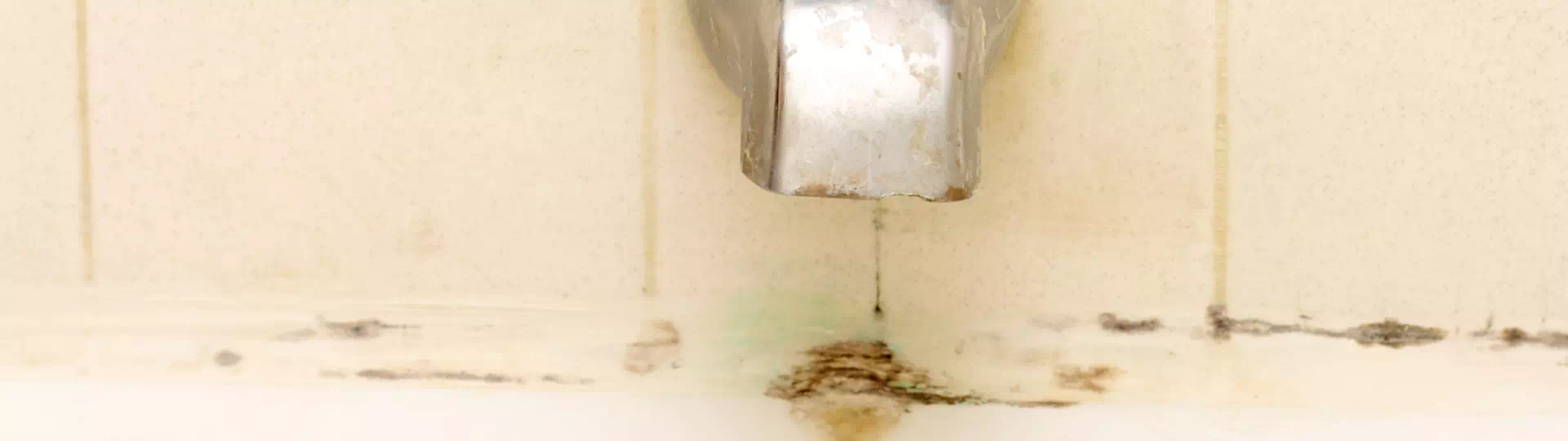 How to Clean Mold in Shower - Simple Green