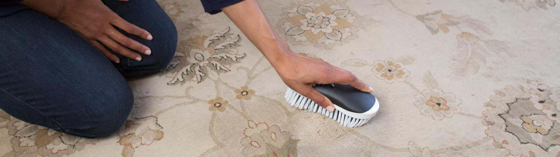 Residential Carpet Cleaning In Idaho Falls