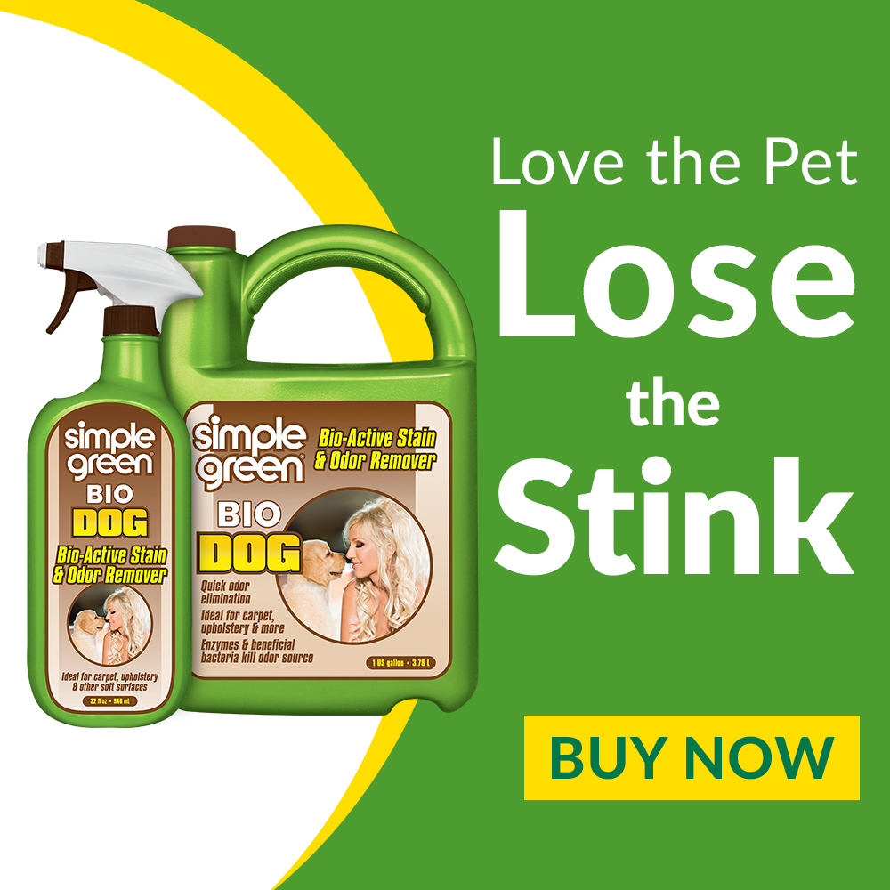 what kills the smell of dog urine