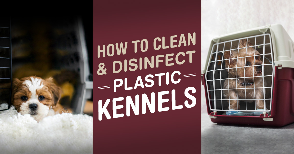 How to Clean & Disinfect Kennels - Simple Green