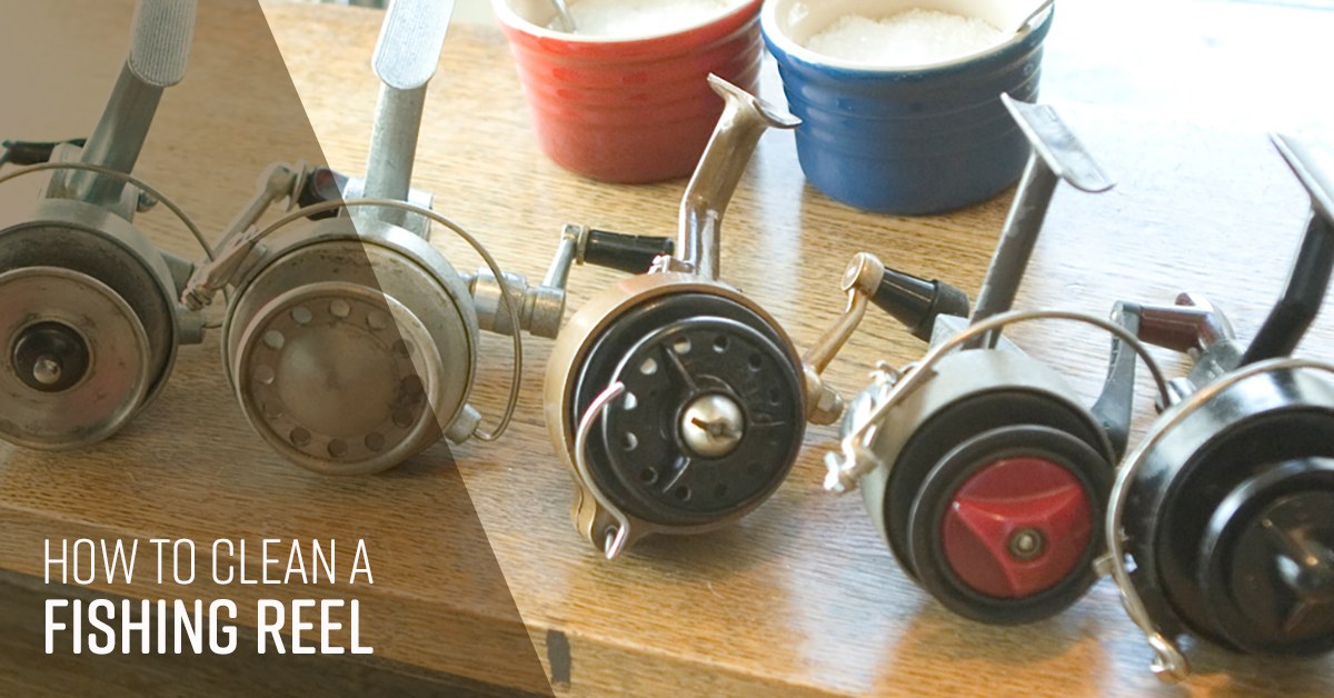 How to Clean a Fishing Reel Simple Green