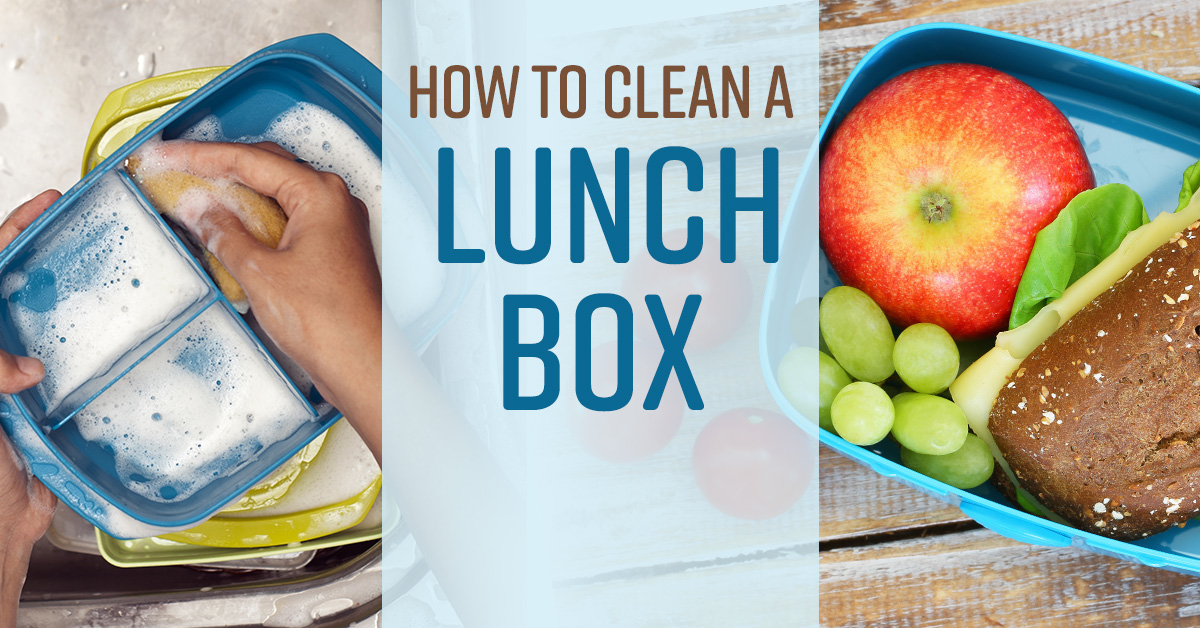 How To Clean Outside Of Lunch Box at Carolyn Lewis blog - How To Clean Pottery Barn Lunch Box