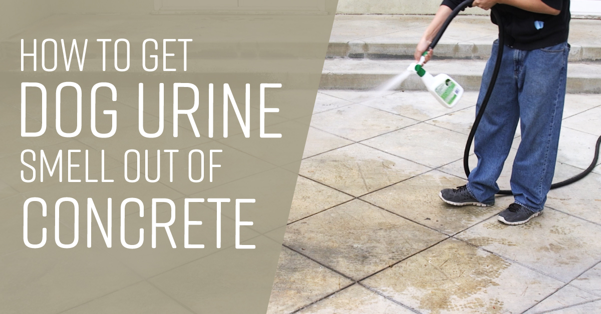 How To Get Urine Smell Out Of Concrete Simple Green