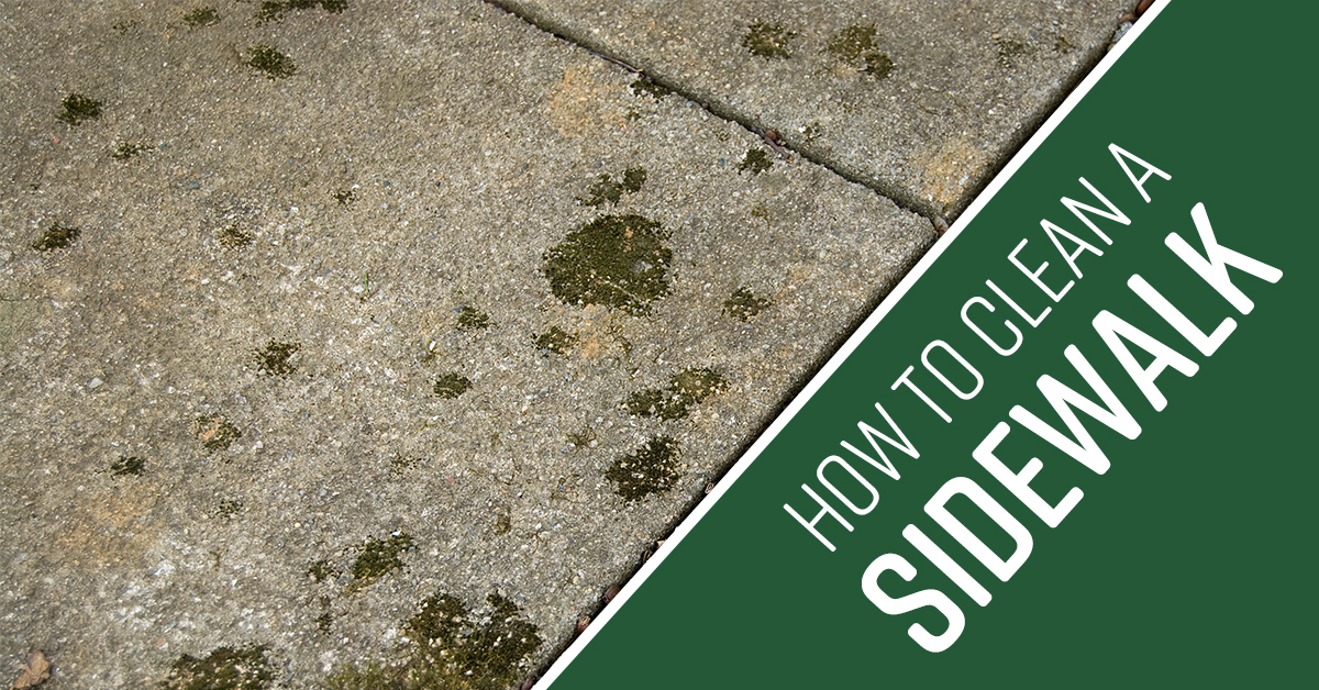 How to Clean a Sidewalk Simple Green