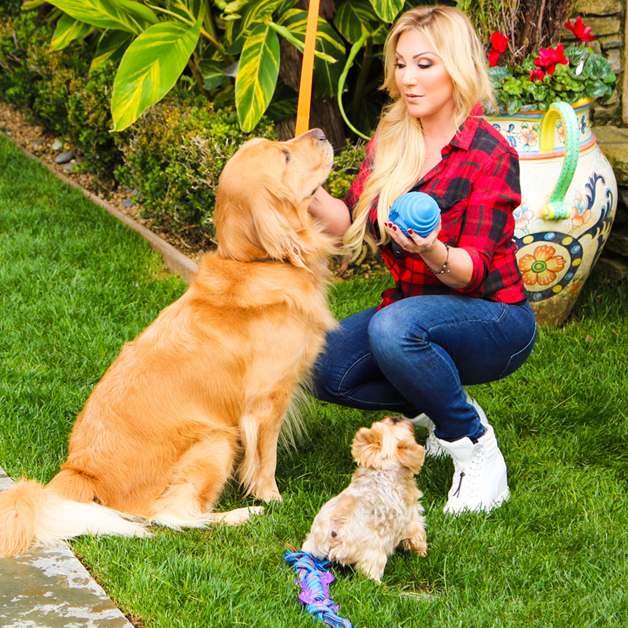 Dog Training Dos & Don'ts