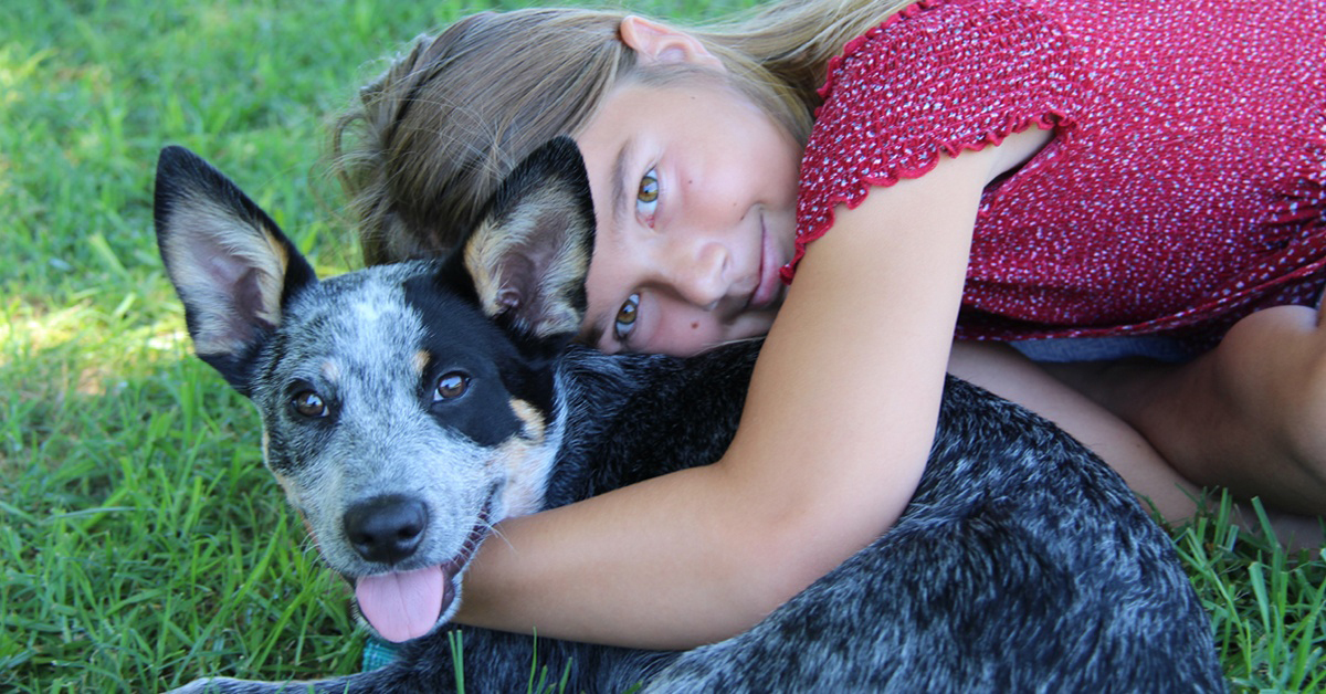 Puppy Tales: First Month Lessons With a New Dog