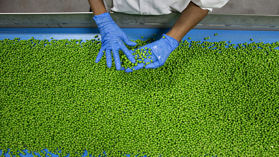 1984: Simple Green products receive USDA authorization for use in food production and packaging facilities.