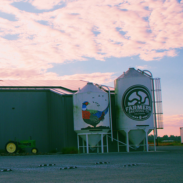 Case Study Farmers Brewing Co