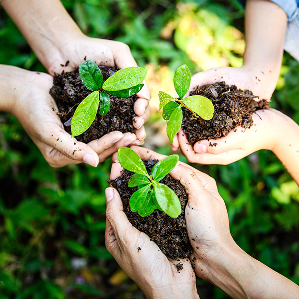 Earth Day Tips Eco Friendly Living
