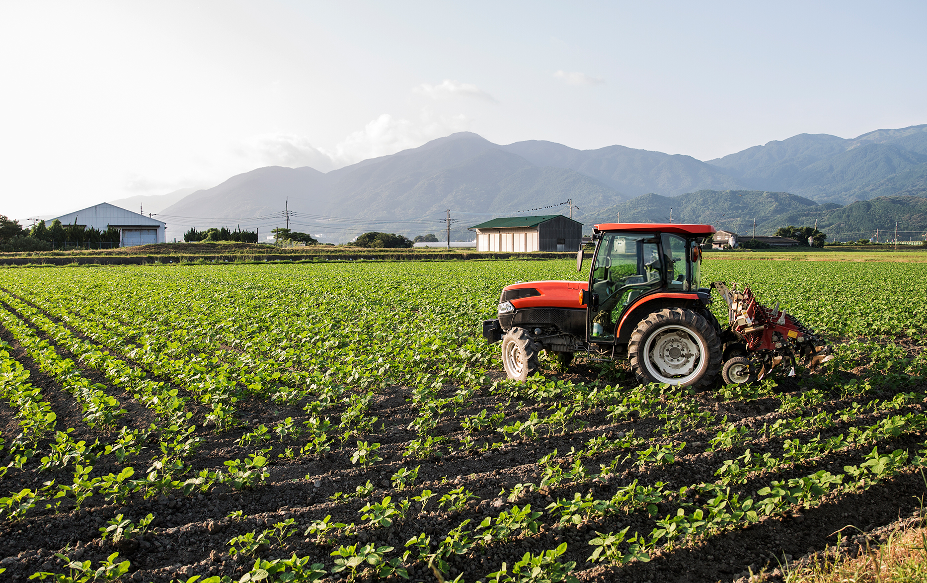 Fruit Grain Crop Farm Cleaning