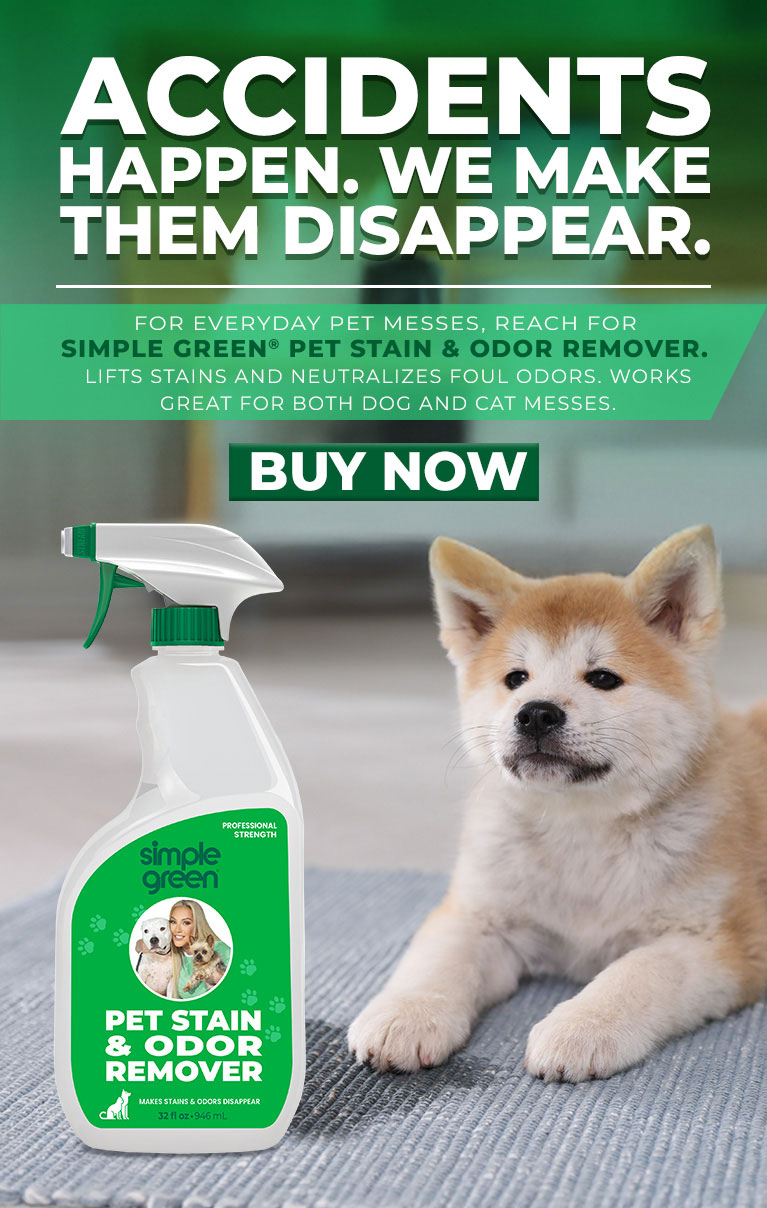 Accidents happen, we make them disappear