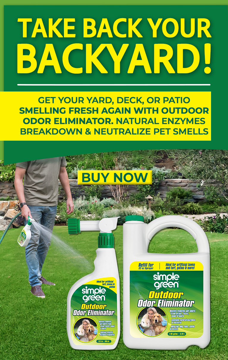 Take Back Your Backyard!