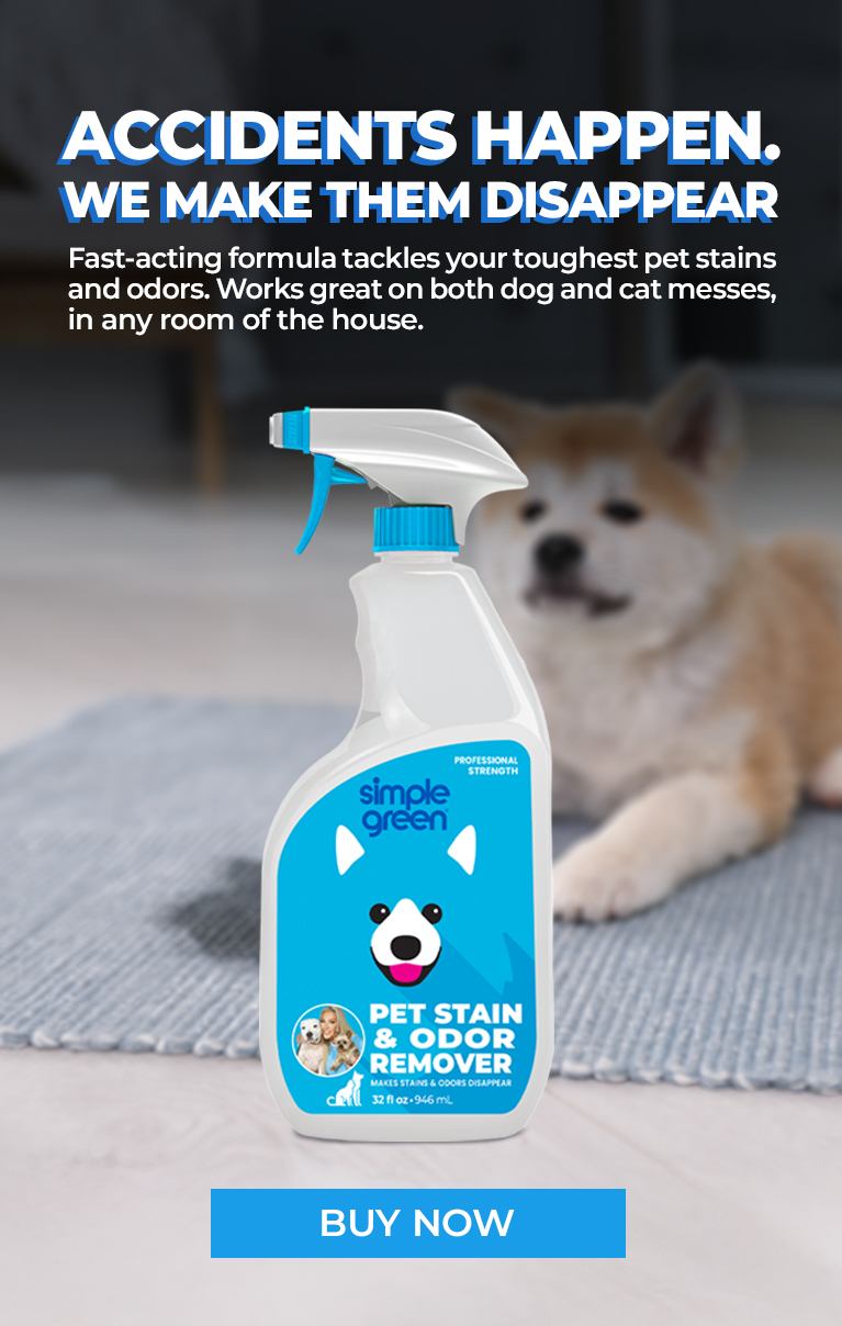 Accidents happen, we make them disappear