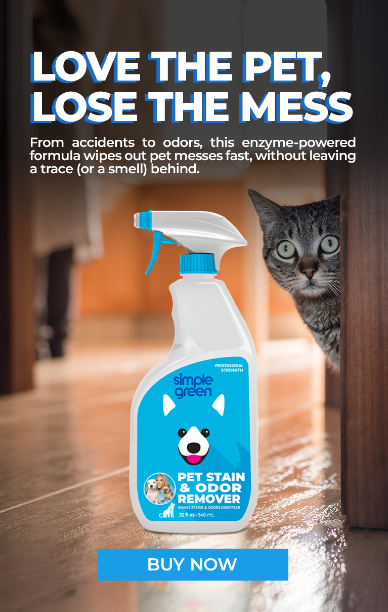 Love The Pet, Lose The Mess