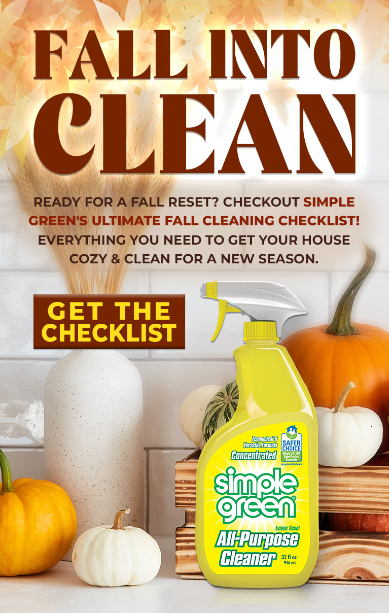 Fall Into Clean