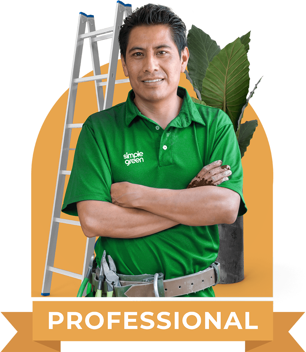 Simple Green Professional